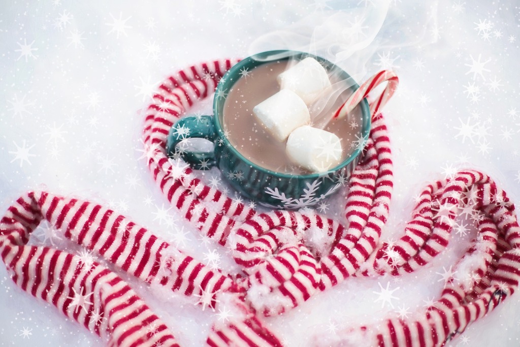 une tasse de chocolat chaud entoutée d'une écharpe en laine