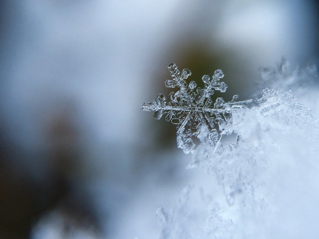 Une boule de neige décorative placée dans la neige en pleine nature 