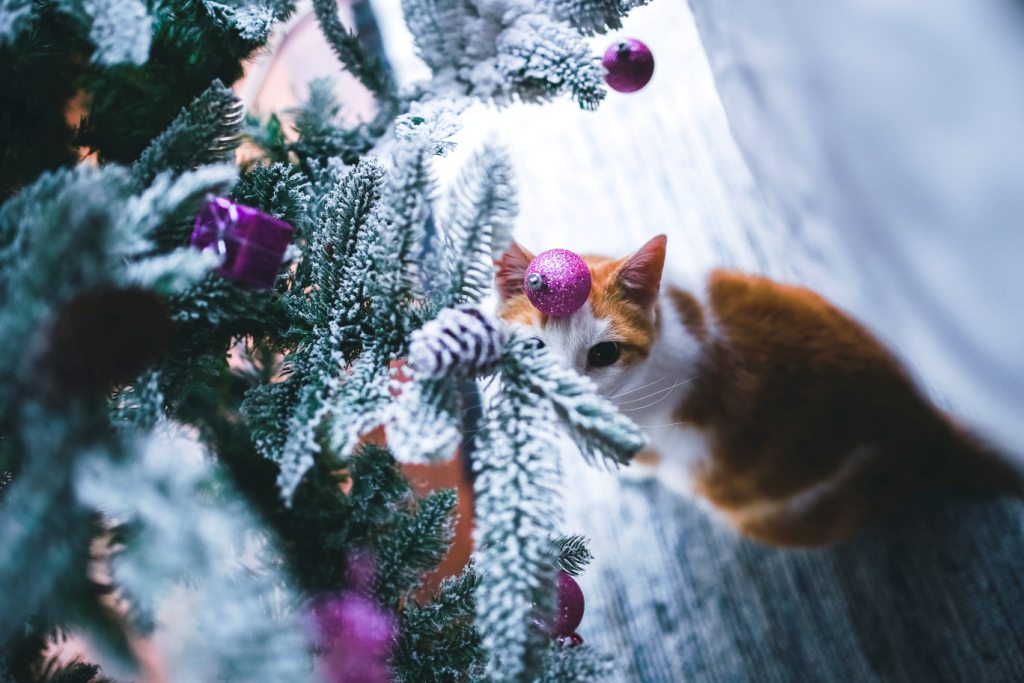 Un chat sous un arbre de noel  